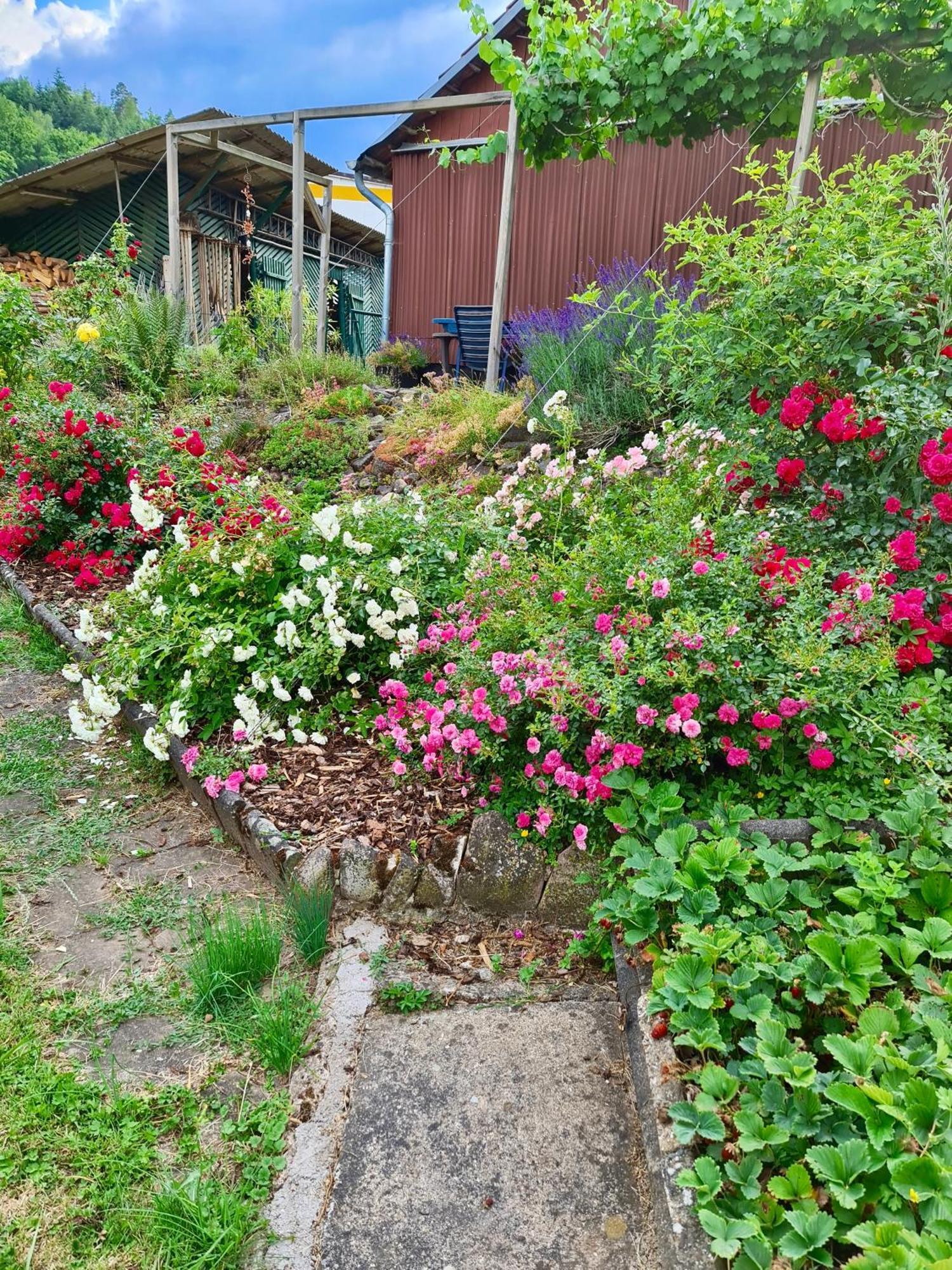 Ferienwohnung Kespergarten Witzenhausen Bagian luar foto
